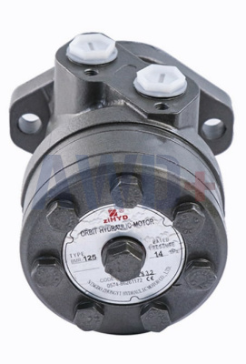 BMR 315-P1-AII-Y10 ziHYD Гидромотор серии BMR с объемом 315 см³