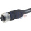 R900773031 PLUG-IN CONNECTOR  4P M12 GERADE  2M